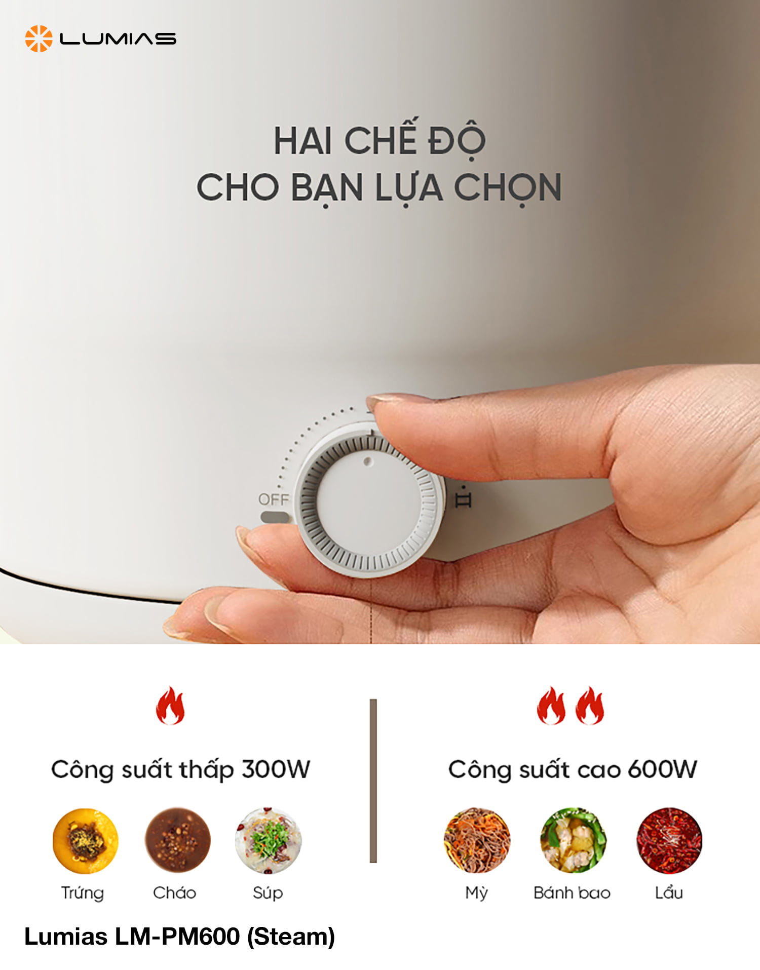 Đặc điểm nồi điện đa năng Lumias LM-PM600 (Steam)
