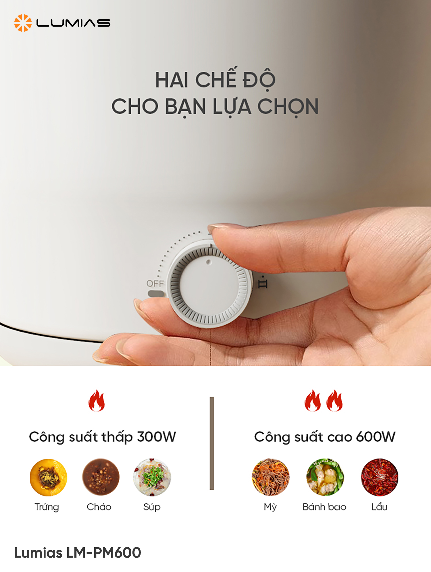 Đặc điểm nồi điện đa năng Lumias LM-PM600