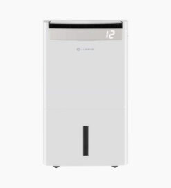 Máy hút ẩm kiêm lọc không khí 26L Lumias D6S-26L