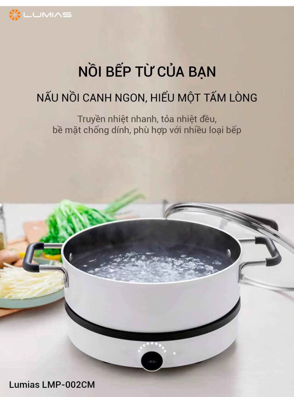 Nồi hợp kim nhôm Lumias LMP-002CM phù hợp bếp từ